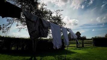 soleado día lavandería recién colgado ropa en el línea video