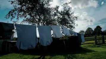 zonnig dag wasserij vers hing kleren Aan de lijn video