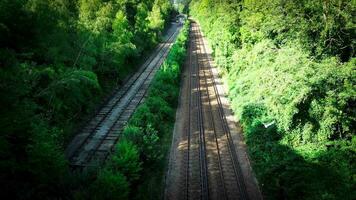 järnväg genom de skog naturer lugn väg video