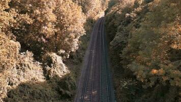 ferrocarril mediante el bosque naturalezas tranquilo camino video