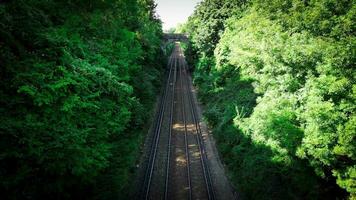 ferrocarril mediante el bosque naturalezas tranquilo camino video