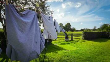 Sunny Day Laundry Freshly Hung Clothes on the Line video