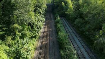 ferrovia attraverso il foresta nature tranquillo sentiero video