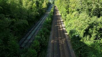 ferrovia attraverso il foresta nature tranquillo sentiero video