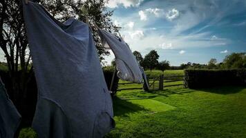 Sunny Day Laundry Freshly Hung Clothes on the Line video