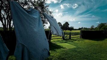 Sunny Day Laundry Freshly Hung Clothes on the Line video