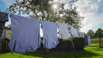 ensolarado dia lavanderia recentemente pendurado roupas em a linha video