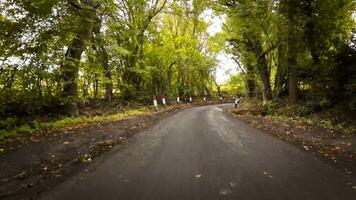 herfst- rijweg een toneel- rit door de Woud video