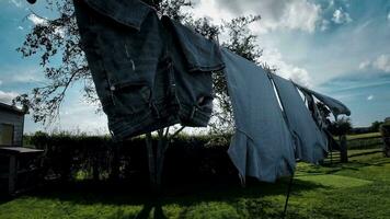 sonnig Tag Wäsche frisch hing Kleider auf das Linie video