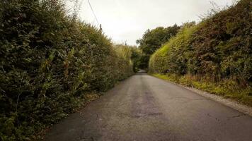 Autumnal Roadway A Scenic Drive Through the Forest video