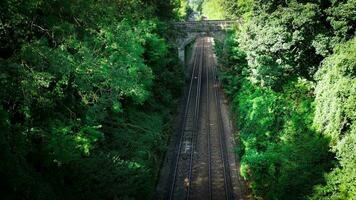 Eisenbahn durch das Wald Naturen still Pfad video