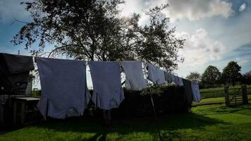 soleado día lavandería recién colgado ropa en el línea video