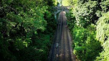 Eisenbahn durch das Wald Naturen still Pfad video