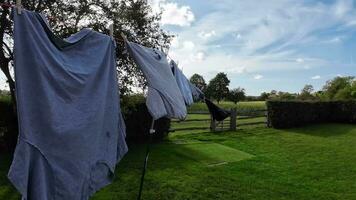 Sunny Day Laundry Freshly Hung Clothes on the Line video