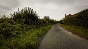 herfst- rijweg een toneel- rit door de Woud video