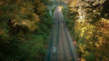 chemin de fer par le forêt natures tranquille chemin video