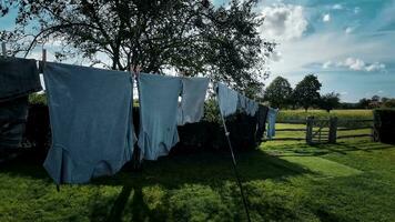 sonnig Tag Wäsche frisch hing Kleider auf das Linie video