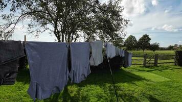 Sunny Day Laundry Freshly Hung Clothes on the Line video