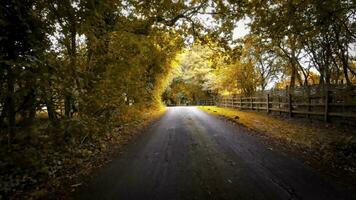 herfst- rijweg een toneel- rit door de Woud video