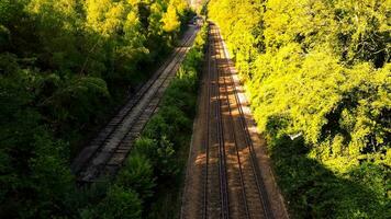 ferrocarril mediante el bosque naturalezas tranquilo camino video