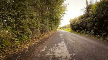 Autumnal Roadway A Scenic Drive Through the Forest video