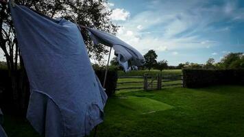 Sunny Day Laundry Freshly Hung Clothes on the Line video