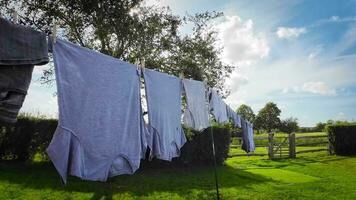 soleado día lavandería recién colgado ropa en el línea video