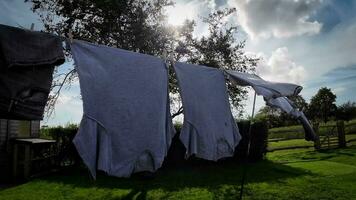 Sunny Day Laundry Freshly Hung Clothes on the Line video