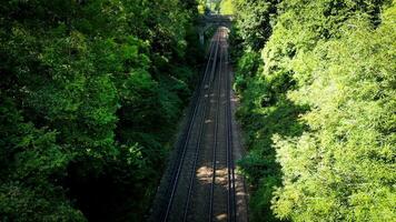 ferrovia attraverso il foresta nature tranquillo sentiero video