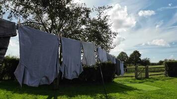 Sunny Day Laundry Freshly Hung Clothes on the Line video