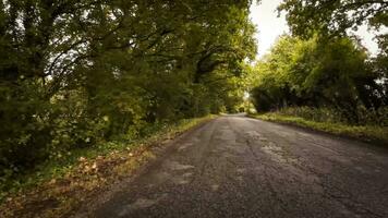 herfst- rijweg een toneel- rit door de Woud video