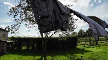 zonnig dag wasserij vers hing kleren Aan de lijn video