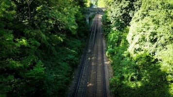 ferrocarril mediante el bosque naturalezas tranquilo camino video