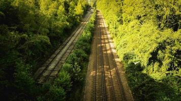 ferrocarril mediante el bosque naturalezas tranquilo camino video