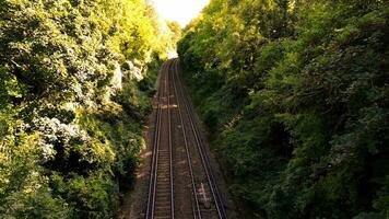 ferrocarril mediante el bosque naturalezas tranquilo camino video