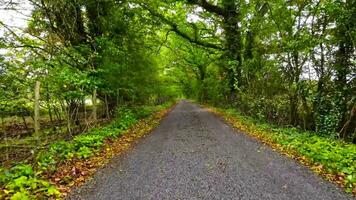 Summer Road Trip Through the English Countryside video