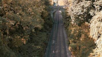 Eisenbahn durch das Wald Naturen still Pfad video