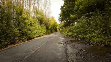 herbstlich Fahrbahn ein szenisch Fahrt durch das Wald video