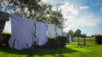 zonnig dag wasserij vers hing kleren Aan de lijn video