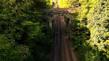 estrada de ferro através a floresta naturezas tranquilo caminho video