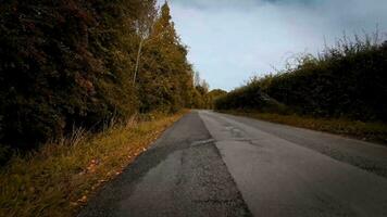 autunnale carreggiata un' panoramico guidare attraverso il foresta video