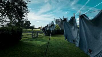 soleado día lavandería recién colgado ropa en el línea video