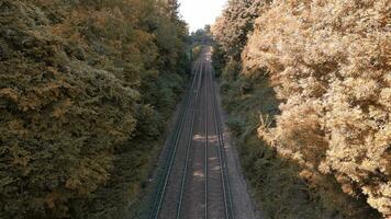 ferrovia attraverso il foresta nature tranquillo sentiero video