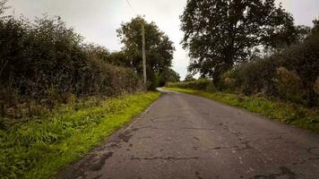 Autumnal Roadway A Scenic Drive Through the Forest video