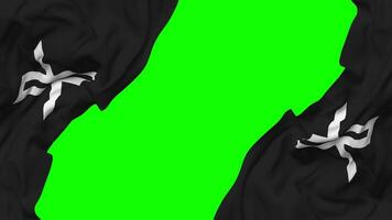 Twitter X Logo Flag Waving on Sides, Isolated with Bump Texture, 3D Rendering, Green Screen, Alpha Matte video