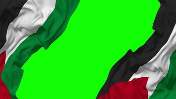 Palestina bandera ondulación en lados, aislado con bache textura, 3d representación, verde pantalla, alfa mate video
