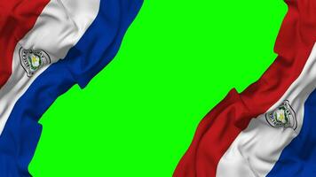 paraguay drapeau agitant sur côtés, isolé avec bosse texture, 3d le rendu, vert filtrer, alpha mat video