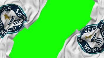 Guinness World Records Flag Waving on Sides, Isolated with Bump Texture, 3D Rendering, Green Screen, Alpha Matte video