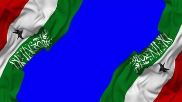 Somalilandia bandera ondulación en lados, aislado con bache textura, 3d representación, verde pantalla, alfa mate video