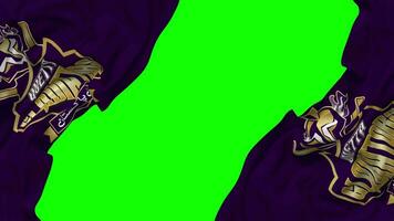 Quetta Gladiators, QG Flag Waving on Sides, Isolated with Bump Texture, 3D Rendering, Green Screen, Alpha Matte video